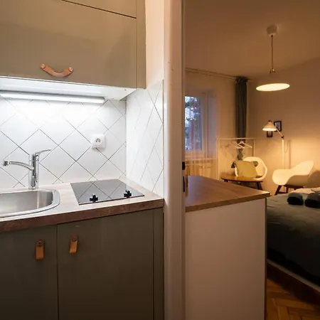 Mini Studio In Masaryk Quarter - شقة برنو